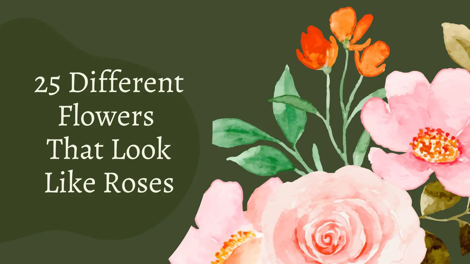 Different Flowers That Look Like Roses