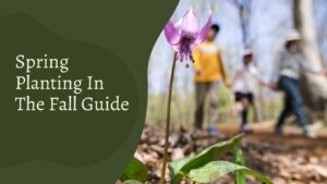 Why You Should Do Your Spring Planting In The Fall 2023 Guide