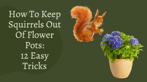 How To Keep Squirrels Out Of Flower Pots -12 Easy Tricks